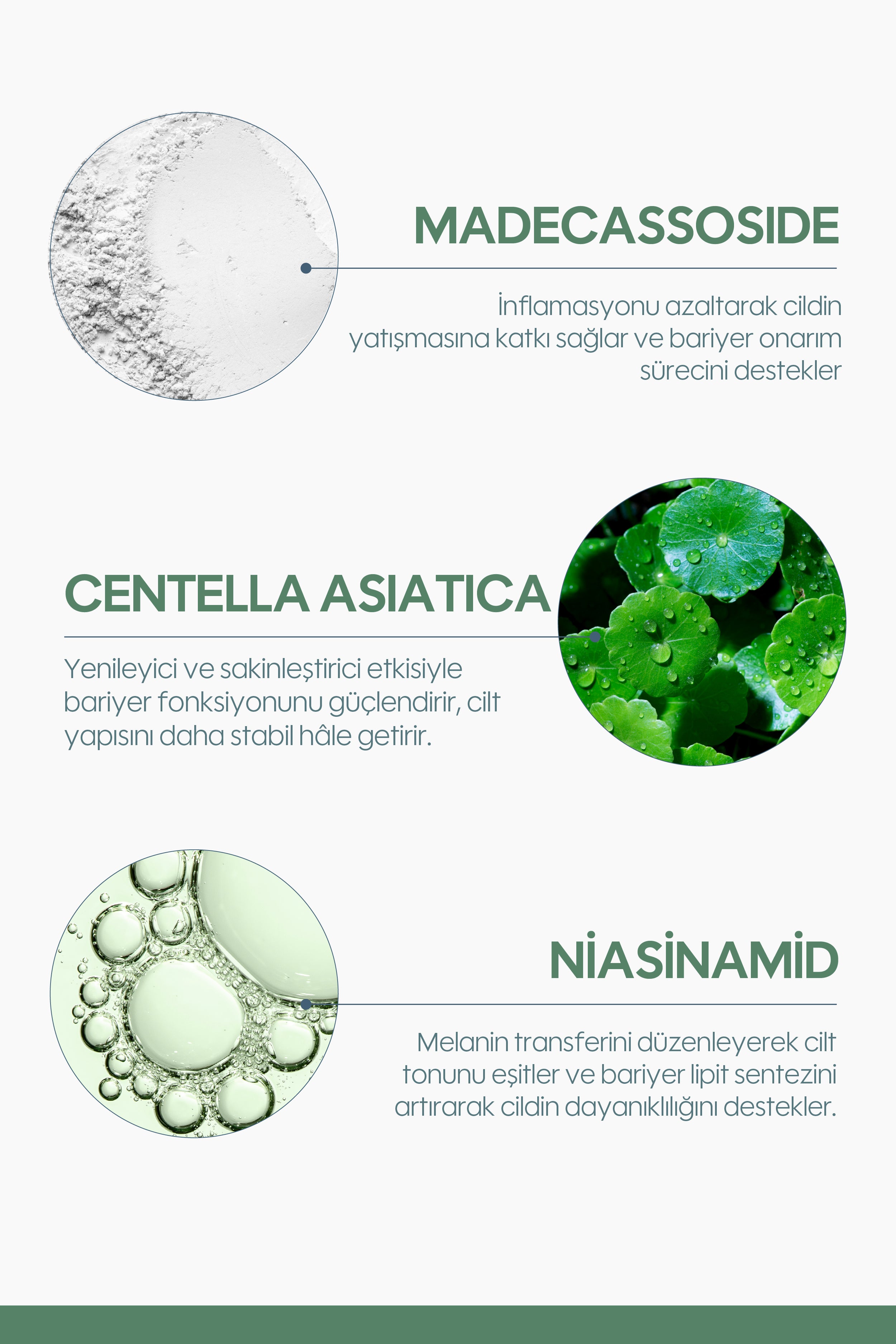 Cicabalance Cream 50 ml – Tüm Cilt Tipleri – Madecassoside & Niasinamid