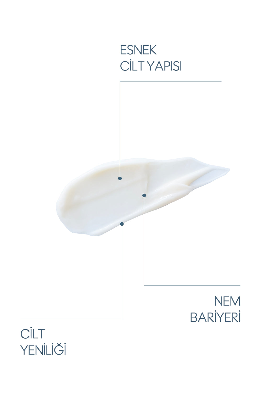 Rejuvenating Cream 30 ml - Tüm Cilt Tipleri – Nemlendirici & Cilt Bariyeri