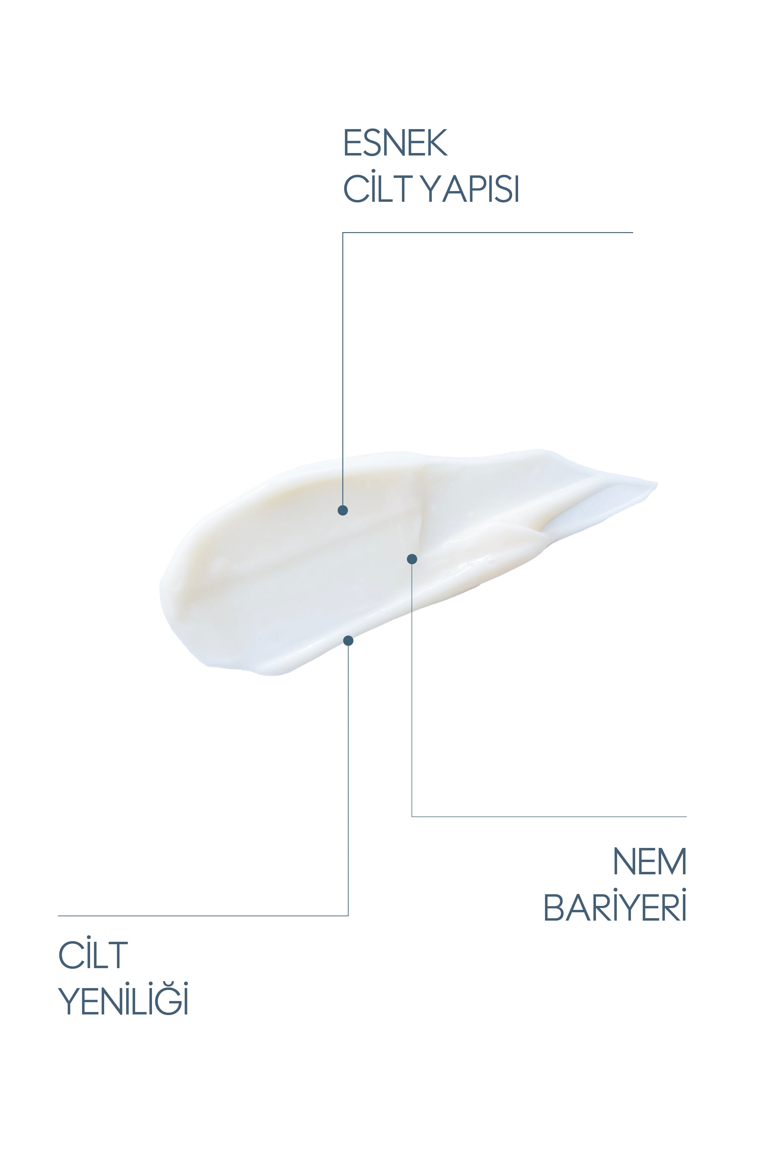 Rejuvenating Cream 30 ml - Tüm Cilt Tipleri – Nemlendirici & Cilt Bariyeri