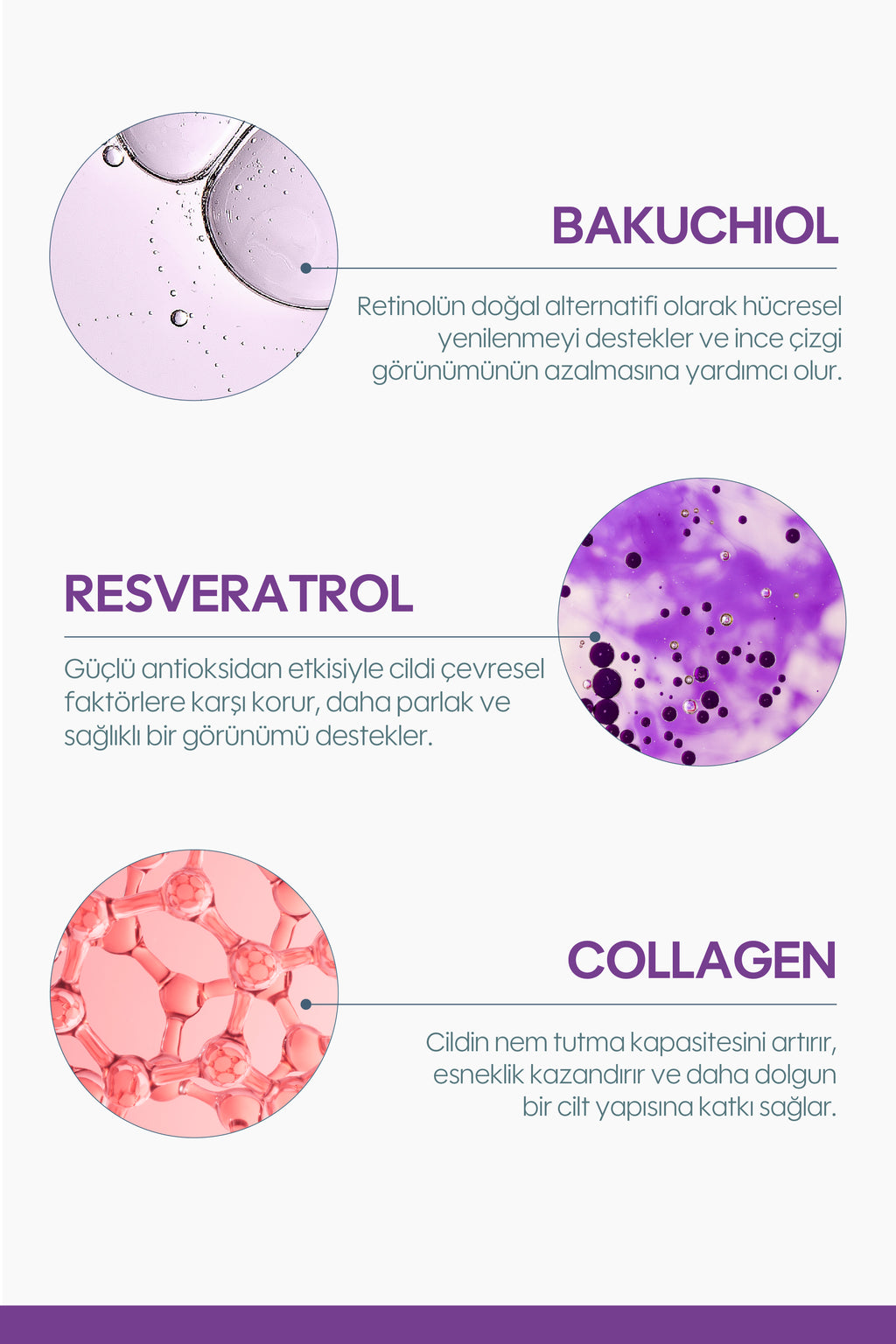 Rejuvenating Cream 30 ml - Tüm Cilt Tipleri – Nemlendirici & Cilt Bariyeri