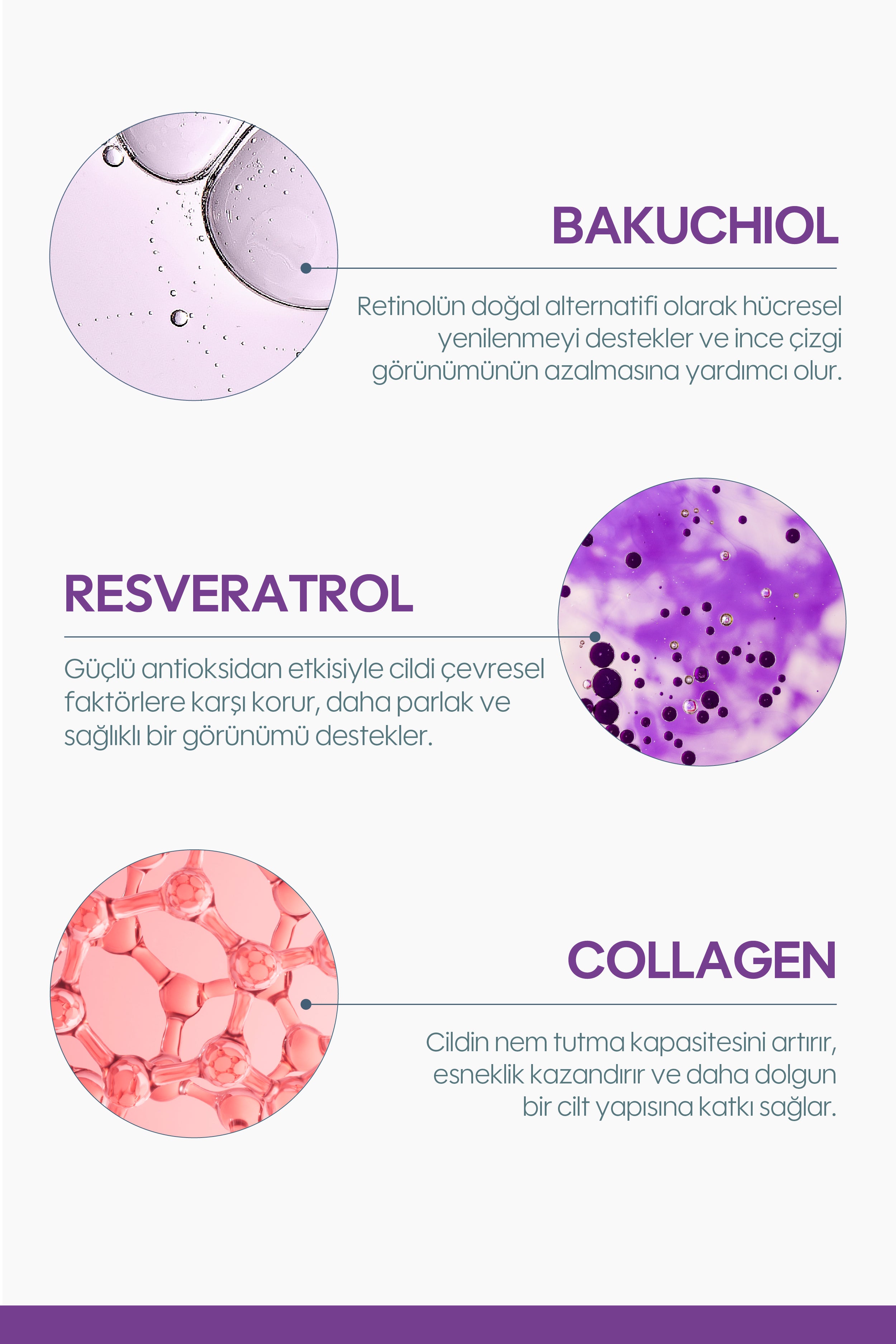 Rejuvenating Cream 30 ml - Tüm Cilt Tipleri – Nemlendirici & Cilt Bariyeri
